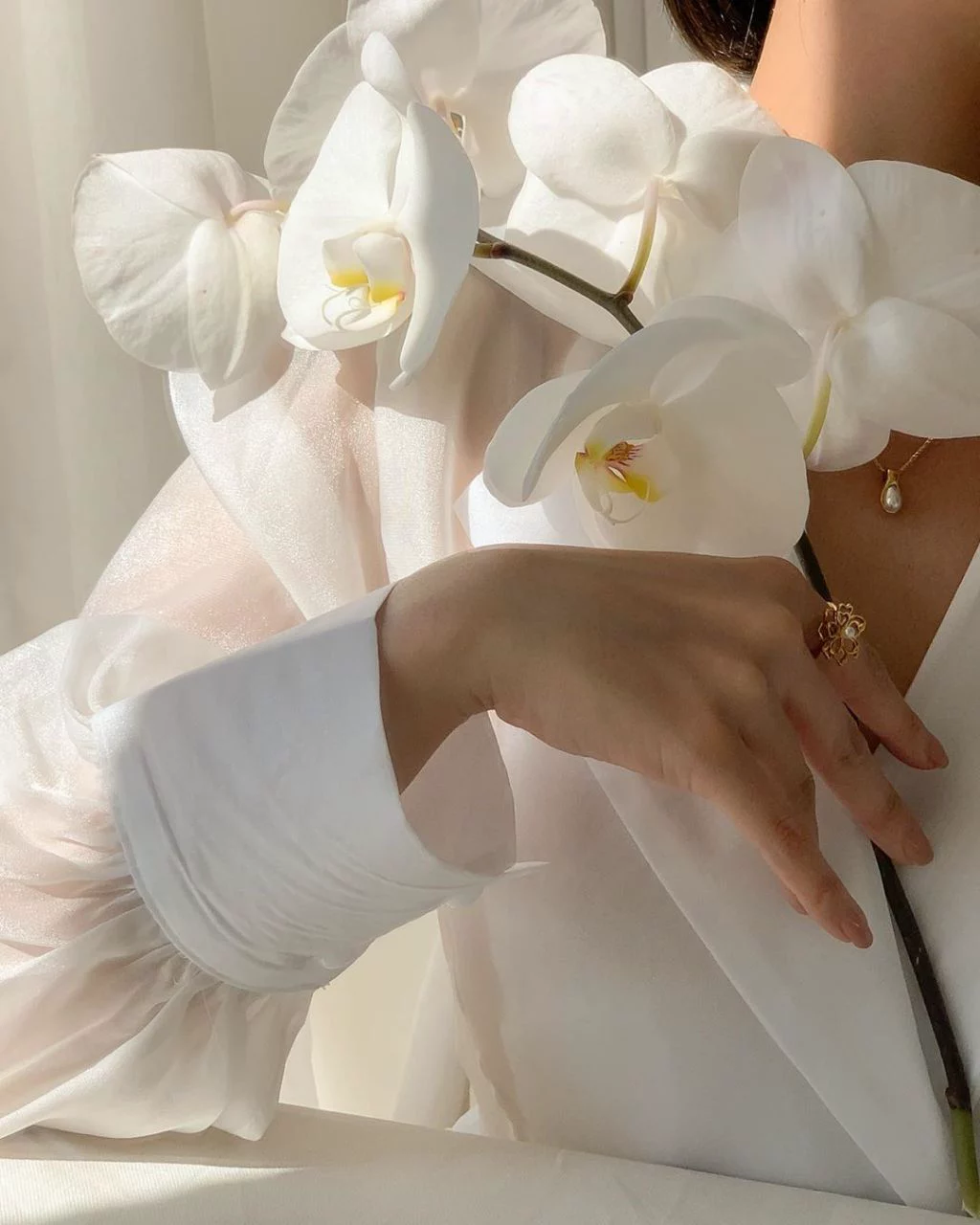 White orchids and soft draping