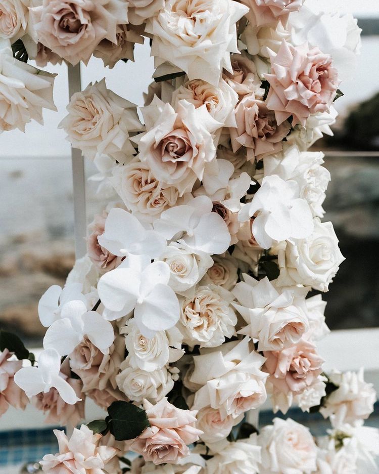 Blush rose and orchid arch close-up
