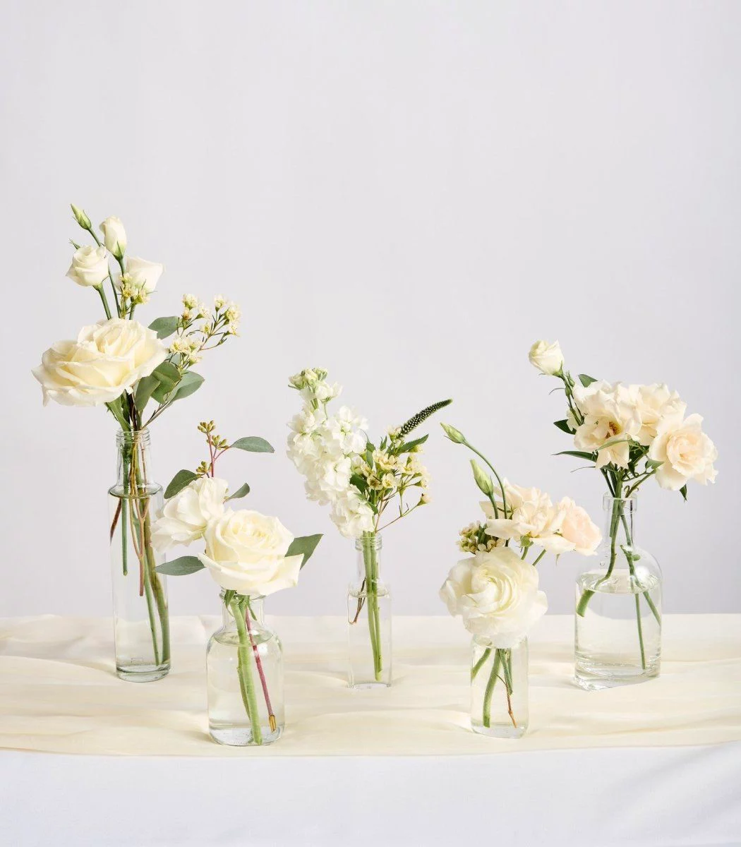 Bud Vase Cluster (Set of 5)